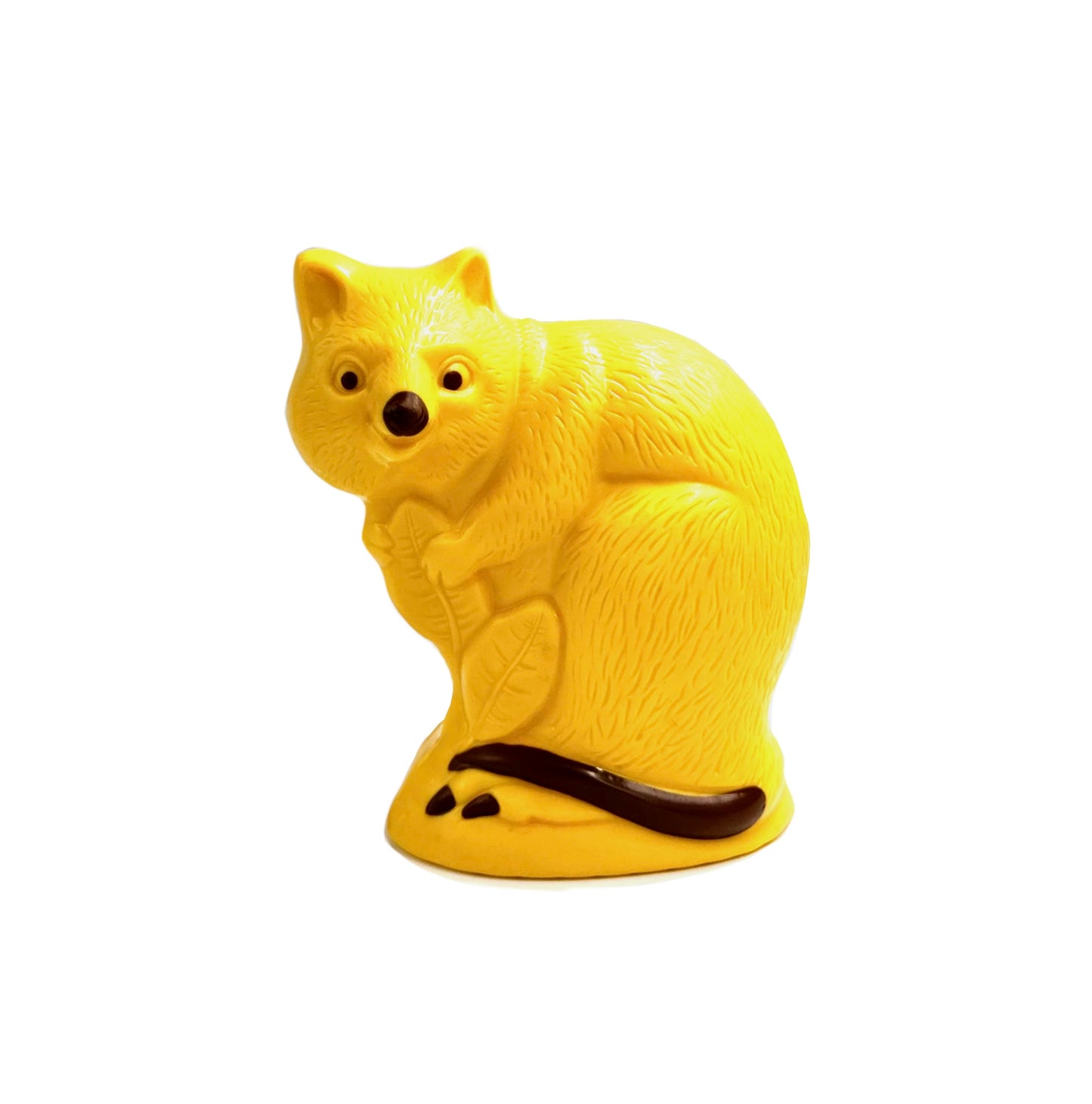 Coloured Chokka The Quokka