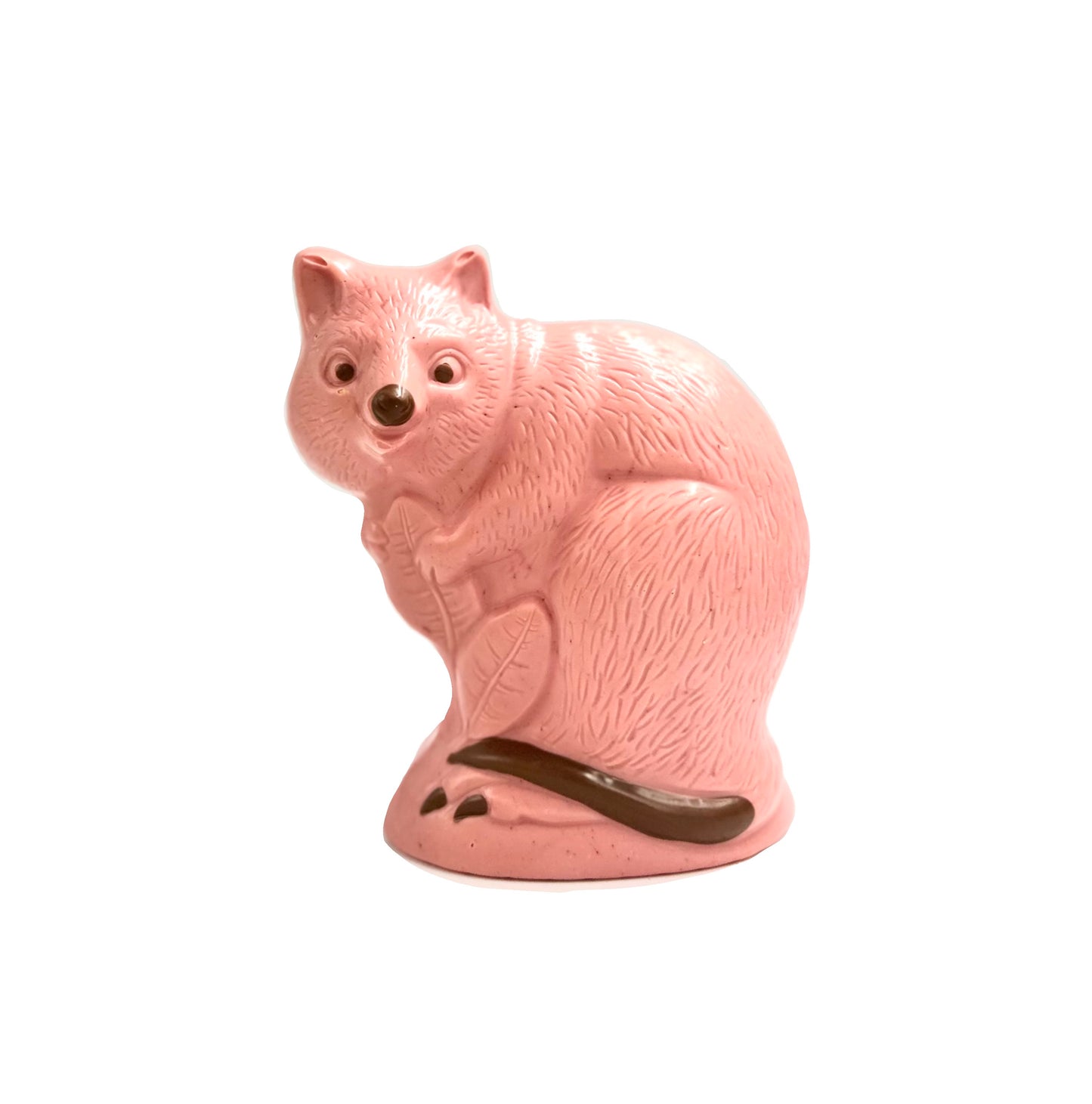 Coloured Chokka The Quokka