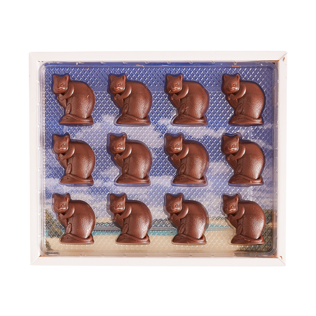 12pk Mini Chokka The Quokka