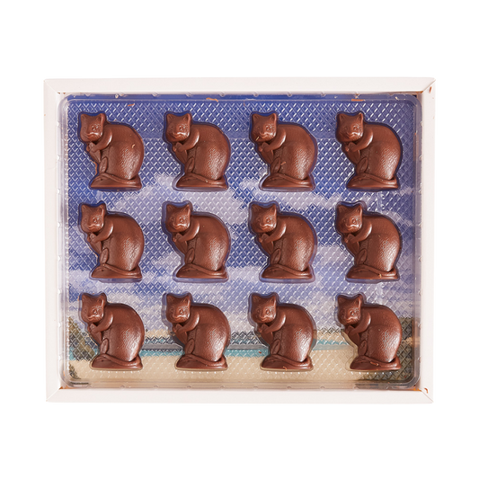 12pk Mini Chokka The Quokka